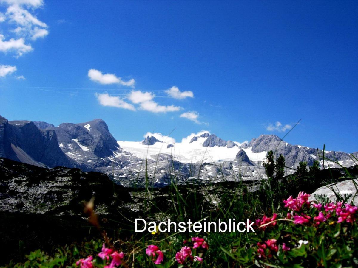 Haus Alpenblick Appartement Obertraun Buitenkant foto