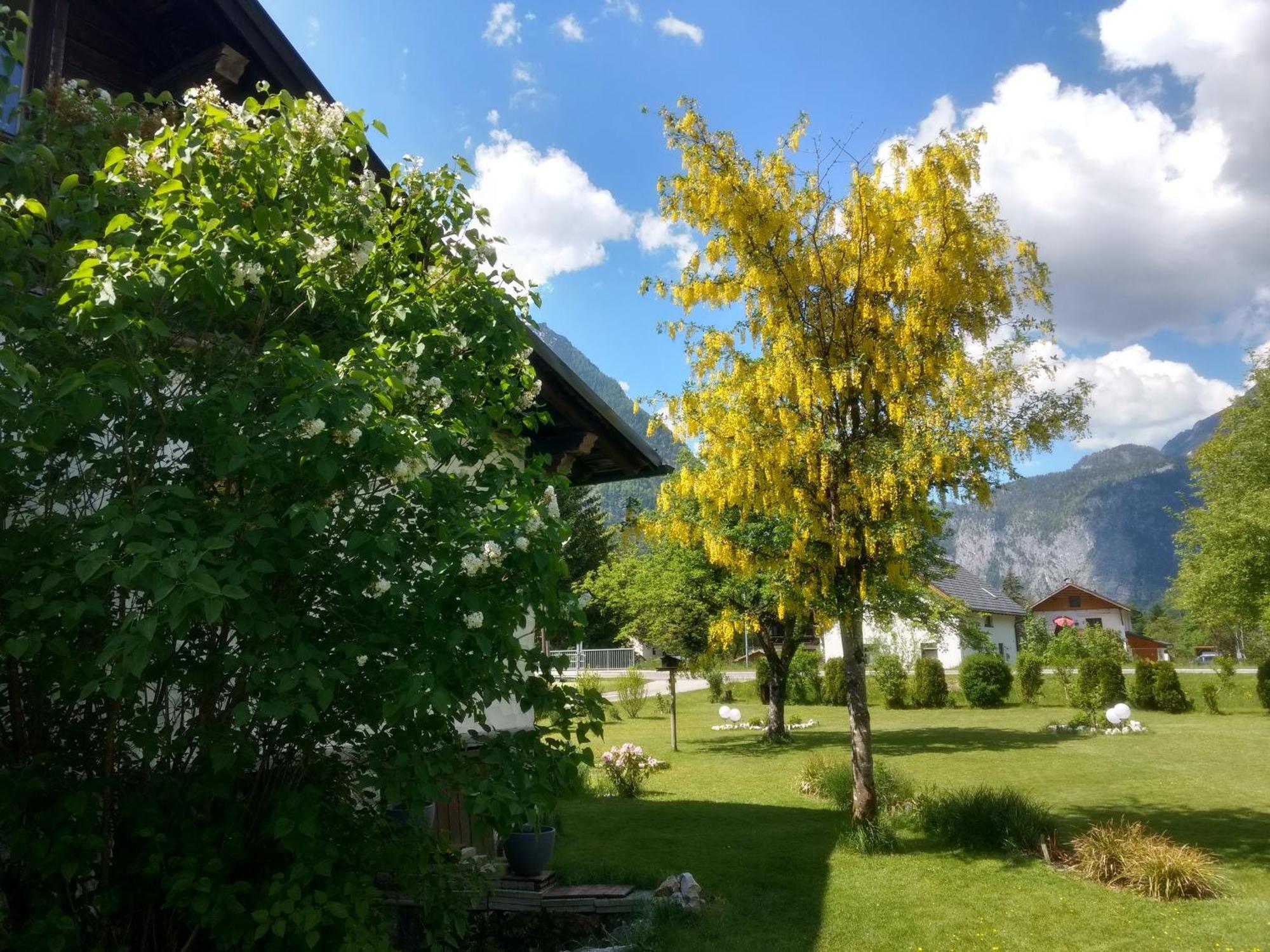 Haus Alpenblick Appartement Obertraun Buitenkant foto