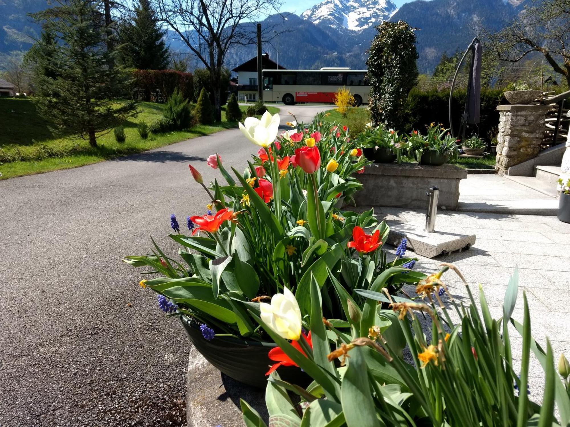 Haus Alpenblick Appartement Obertraun Buitenkant foto