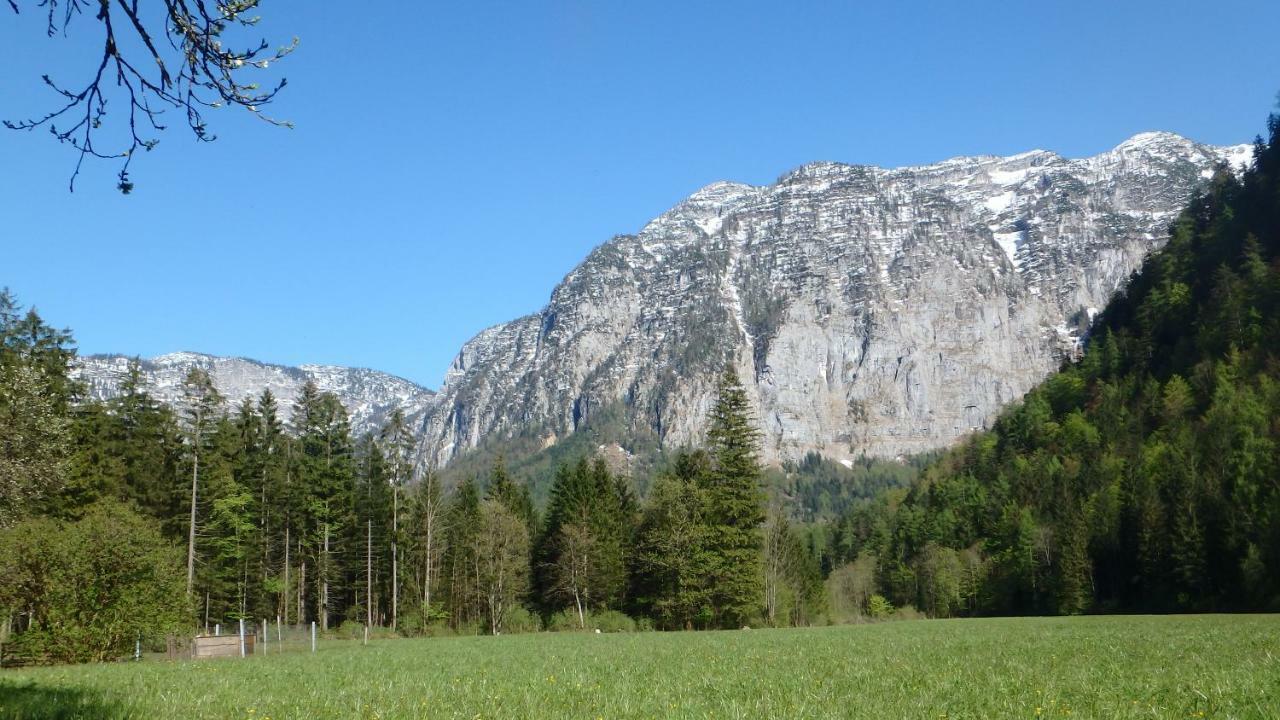 Haus Alpenblick Appartement Obertraun Buitenkant foto